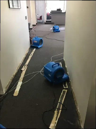 Air movers lined along a hallway with the baseboards removed during a dry-out