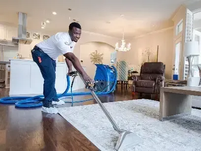 Technician running an extraction wand across a rug in a living room