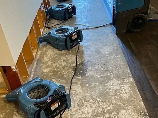 Air movers and dehumidifiers drying out a water-damaged room
